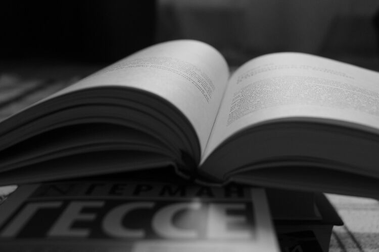 Współczesny język polski – odcinek 13