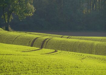Polana z gminy Czarna zwycięzcą konkursu „Piękna Wieś Podkarpacka 2025”!