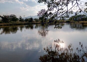 Ze stawu wyłowiono ciało starszego mężczyzny