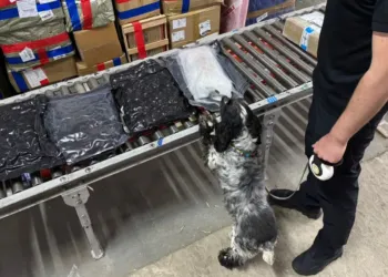 Lwowscy celnicy odkryli międzynarodowy kanał przemytu narkotyków