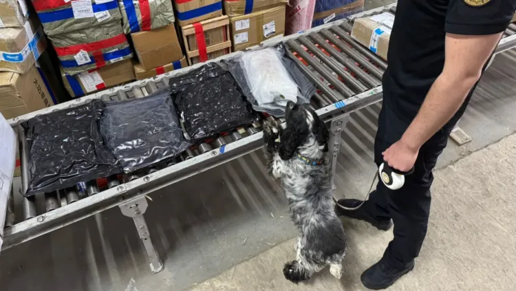 Lwowscy celnicy odkryli międzynarodowy kanał przemytu narkotyków