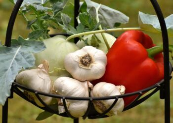 Polska żywność ekologiczna. Smak natury i inwestycja w przyszłość