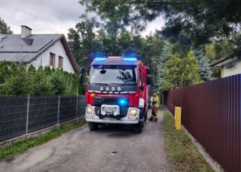 Pożar w Mielcu, uszkodzony garaż i samochód