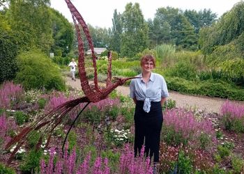 Wystawa poplenerowa – „Wiklina w Arboretum”