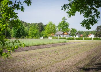 Młócenie cepami, kręcenie kiczek. Maraton z kulturą ludową w kolbuszowskim skansenie