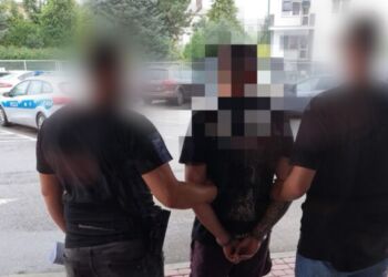 Pijany kierowca wjechał w drzewo i uciekł z miejsca wypadku. Trafił do aresztu