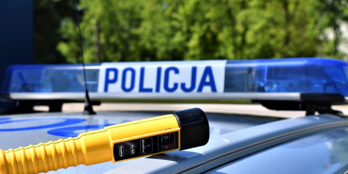 Nietrzeźwa matka wiozła autem dziecko, uszkodziła znaki drogowe i żywopłot