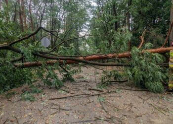 Noc na Podkarpaciu spokojna. Alerty pogodowe nadal obowiązują