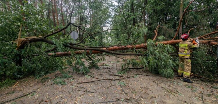 Noc na Podkarpaciu spokojna. Alerty pogodowe nadal obowiązują