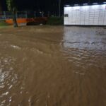 Interwencje strażackie na Podkarpaciu. Połamane drzewa, podtopienia w Rzeszowie i gminie Świlcza [AKTUALIZACJA, ZDJĘCIA] - Polskie Radio Rzeszów