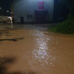 Interwencje strażackie na Podkarpaciu. Połamane drzewa, podtopienia w Rzeszowie i gminie Świlcza [AKTUALIZACJA, ZDJĘCIA] - Polskie Radio Rzeszów