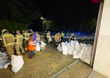 Interwencje strażackie na Podkarpaciu. Połamane drzewa, podtopienia w Rzeszowie i gminie Świlcza [AKTUALIZACJA, ZDJĘCIA]