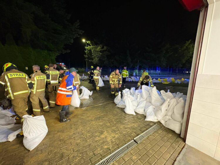 Interwencje strażackie na Podkarpaciu. Połamane drzewa, podtopienia w Rzeszowie i gminie Świlcza [AKTUALIZACJA, ZDJĘCIA]