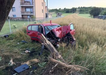 Samochód uderzył w drzewo, dwie osoby ranne [ZDJĘCIA]