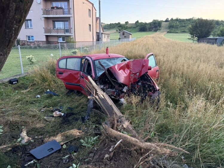 Samochód uderzył w drzewo, dwie osoby ranne [ZDJĘCIA]