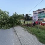 Samochód uderzył w drzewo, dwie osoby ranne [ZDJĘCIA] - Polskie Radio Rzeszów