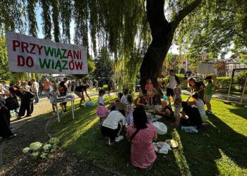 Mieszkańcy chcą ocalić wiązy. Protest w Krośnie przeciwko wycince drzew