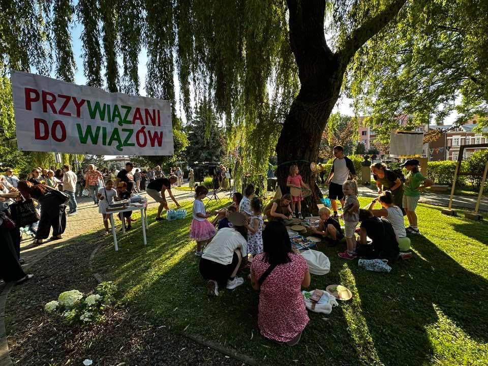 Mieszkańcy chcą ocalić wiązy. Protest w Krośnie przeciwko wycince drzew 6 - Polskie Radio Rzeszów Mieszkańcy chcą ocalić wiązy. Protest w Krośnie przeciwko wycince drzew