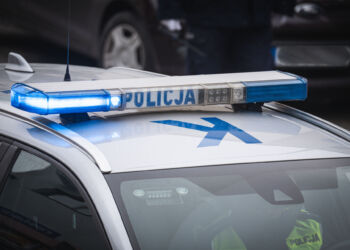 Samochód uderzył w drzewo, dwie osoby ranne [ZDJĘCIA]