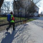 Cywilni ratownicy z psami. Jak działa STORAT z Rzeszowa? - Polskie Radio Rzeszów