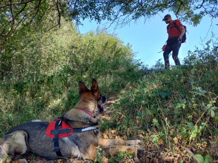 Cywilni ratownicy z psami. Jak działa STORAT z Rzeszowa?