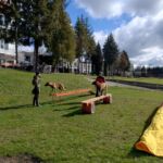 Cywilni ratownicy z psami. Jak działa STORAT z Rzeszowa? - Polskie Radio Rzeszów