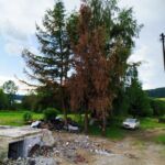 Pożar pozbawił rodzinę dorobku życia. Ruszyła akcja pomocy dla pogorzelców z Zyndranowej - Polskie Radio Rzeszów