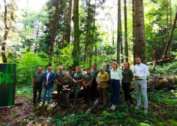 Nowy rezerwat „Przełom Strwiąża”. Ponad 400 ha chronionej przyrody na Podkarpaciu