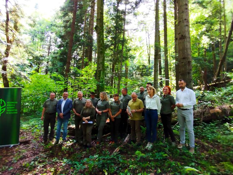 Nowy rezerwat „Przełom Strwiąża”. Ponad 400 ha chronionej przyrody na Podkarpaciu