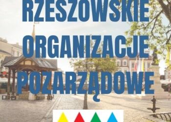 Rzeszowskie Organizacje Pozarządowe