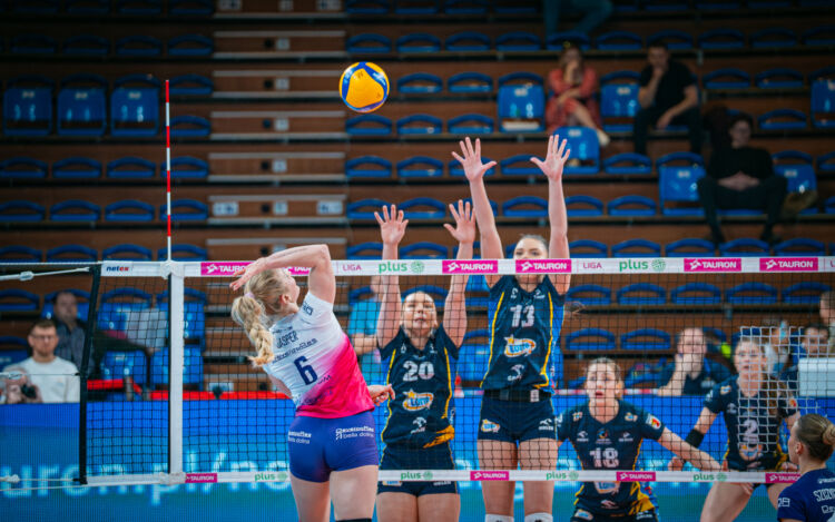 Siatkarskie wzmocnienia Developresu Rzeszów i Asseco Resovii