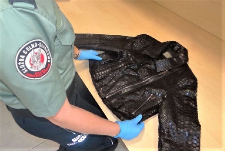 Skóra chronionego węża i 20 tys. dolarów w bagażu. Funkcjonariusze KAS udaremnili przemyt