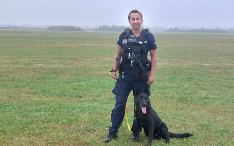 Stalowa Wola: Nowy, czworonożny funkcjonariusz rozpoczyna służbę  – pies służbowy Walkiria jest po szkoleniu