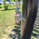 Zniszczenia na terenach rekreacyjnych w Rzeszowie – tysiące złotych strat - Polskie Radio Rzeszów