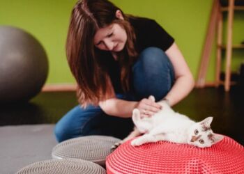 Rehabilitacja zwierząt. Zoofizjoterapia coraz popularniejsza