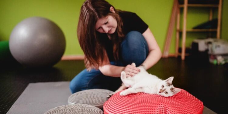 Rehabilitacja zwierząt. Zoofizjoterapia coraz popularniejsza