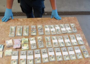 Blisko 300 tys. dolarów w bagażu obywatelki Ukrainy