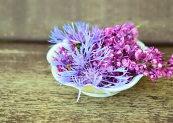 Kulinarne pogaduchy – Kwiaty na talerzu