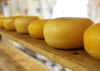 Kim był sochacz? – przypomnienie ginących zawodów związanych z jedzeniem