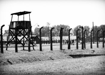 IPN wszczął śledztwo po negowaniu przez G. Brauna ludobójstwa w Auschwitz-Birkenau