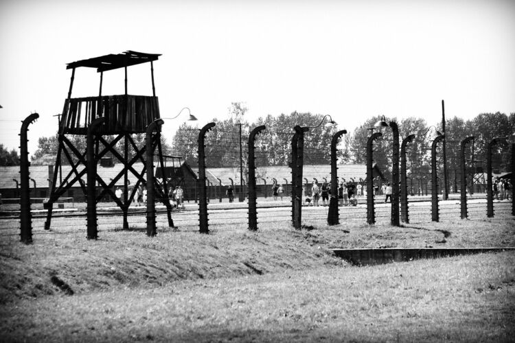 IPN wszczął śledztwo po negowaniu przez G. Brauna ludobójstwa w Auschwitz-Birkenau