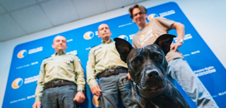 Psy służbowe w KAS Rzeszów. Jak wygląda praca czworonożnych funkcjonariuszy? 1 - Polskie Radio Rzeszów Psy służbowe w KAS Rzeszów. Jak wygląda praca czworonożnych funkcjonariuszy?