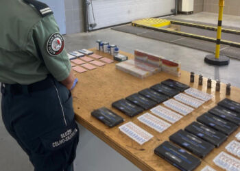 Podkarpacka KAS udaremniła przemyt sterydów i hormonów wzrostu na granicy w Krościenku