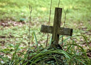 Już ponad 500 nazwisk na liście leśników pomordowanych na Wołyniu