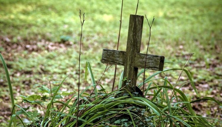 Już ponad 500 nazwisk na liście leśników pomordowanych na Wołyniu