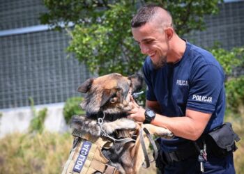 Mistrzostwa kynologiczne, najlepsze psy tropiące