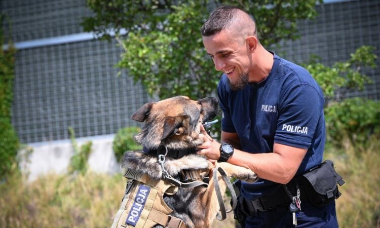 Mistrzostwa kynologiczne, najlepsze psy tropiące