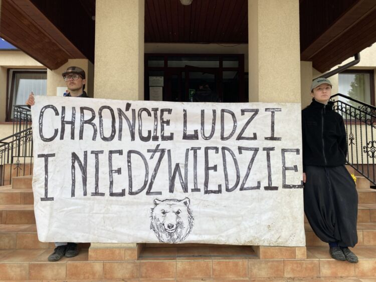 Przedstawiciele Dzikich Karpat przeciw odstrzałowi niedźwiedzi. Zakończyli blokadę Urzędu Gminy w Cisnej [ZDJĘCIA, AKTUALIZACJA]