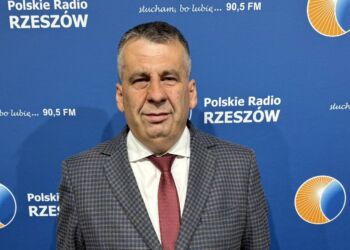 A. Brożyniak: Wzorcem dla ukraińskich nacjonalistów były nazistowskie Niemcy