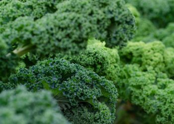 Zmiany klimatu obniżają wartość odżywczą warzyw liściastych